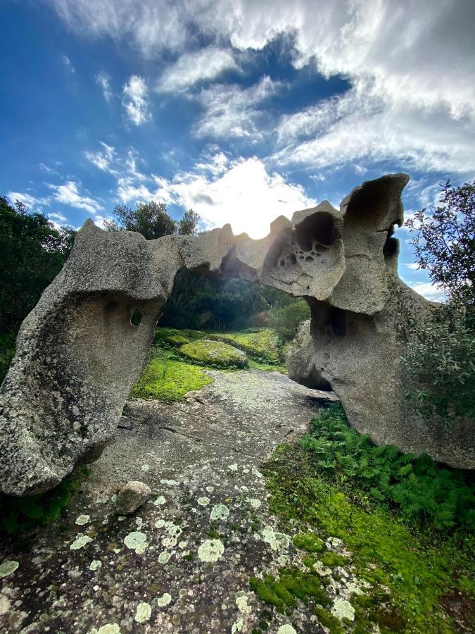 Agriturismo Lu Branu Арцакена Экстерьер фото