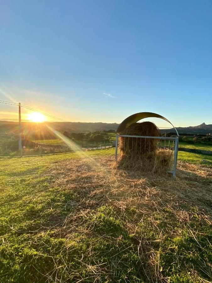 Agriturismo Lu Branu Арцакена Экстерьер фото